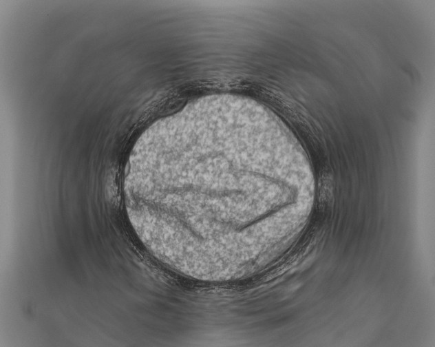 X0000111601202200908131355