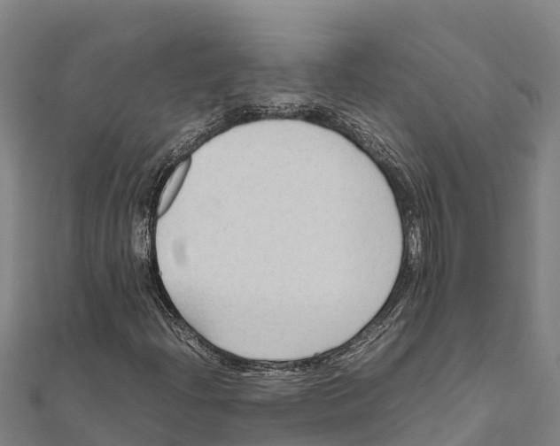 X0000111601204200908131355