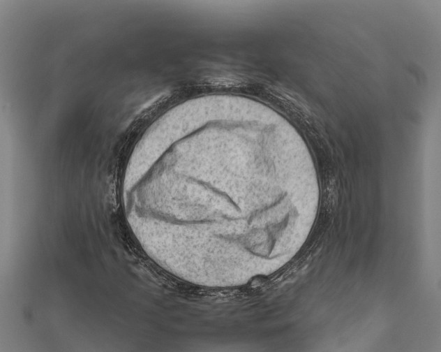 X0000111601205200908131355