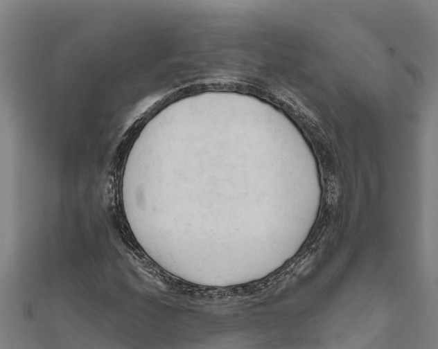 X0000111601208200908131355