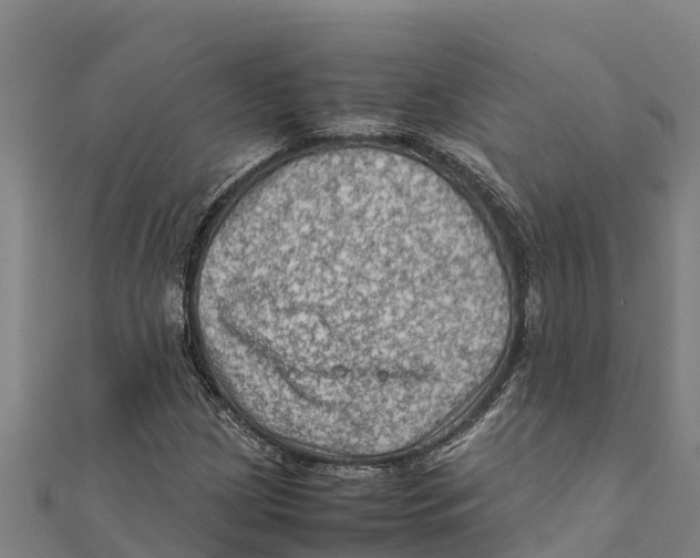 X0000111601209200908131355
