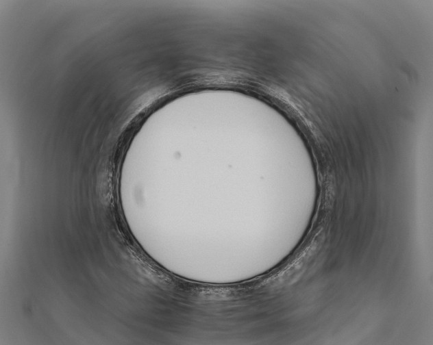 X0000111601211200908131355