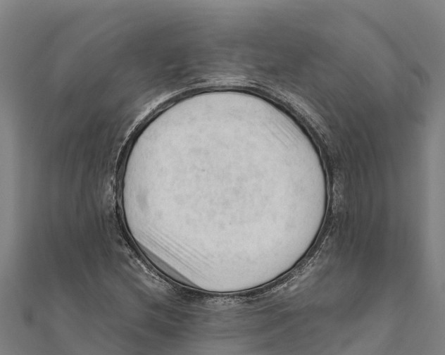 X0000111601212200908131355