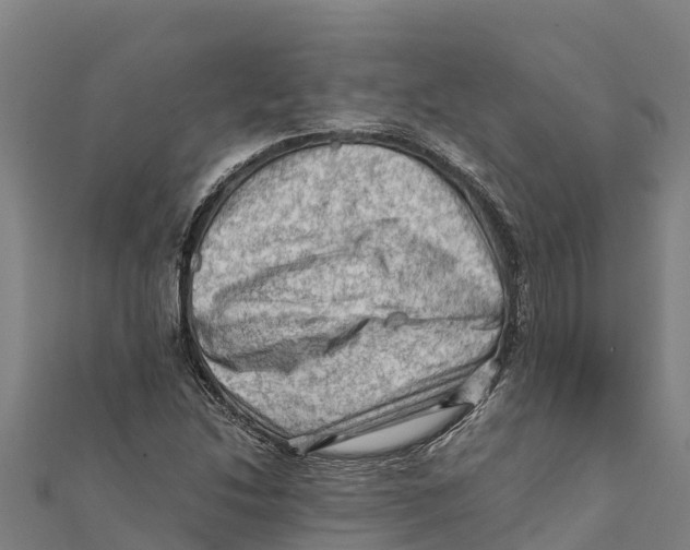 X0000111601214200908131355