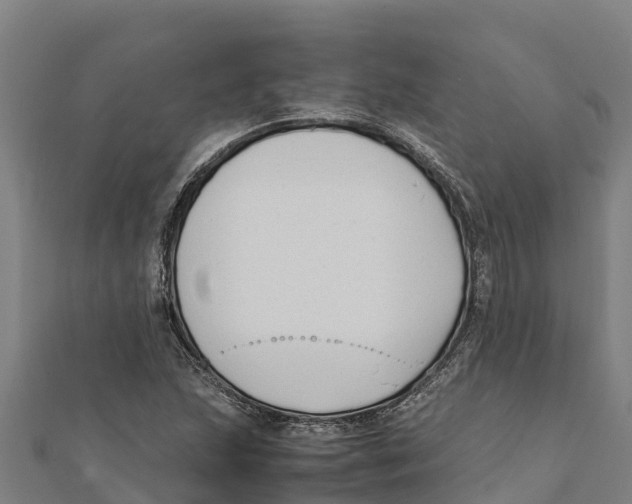 X0000111601215200908131355
