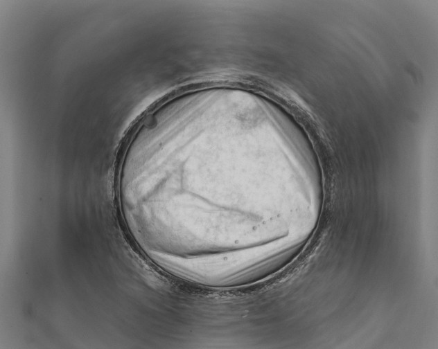 X0000111601216200908131355