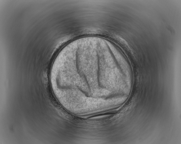 X0000111601218200908131355