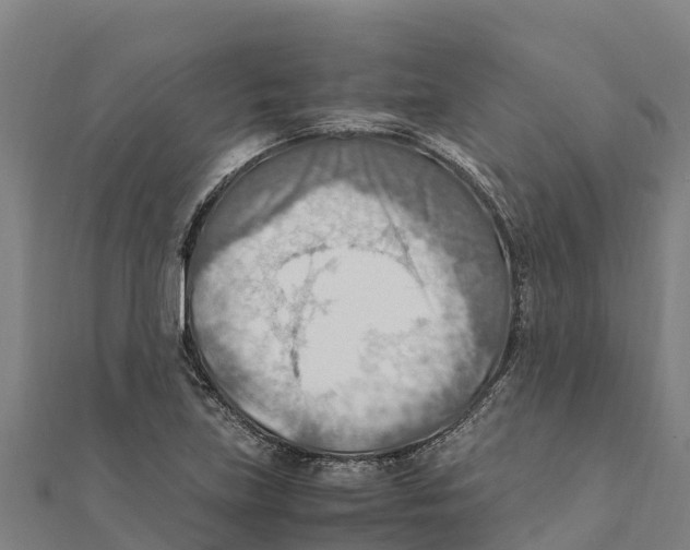 X0000111601219200908131355