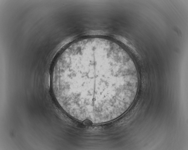 X0000111601221200908131355