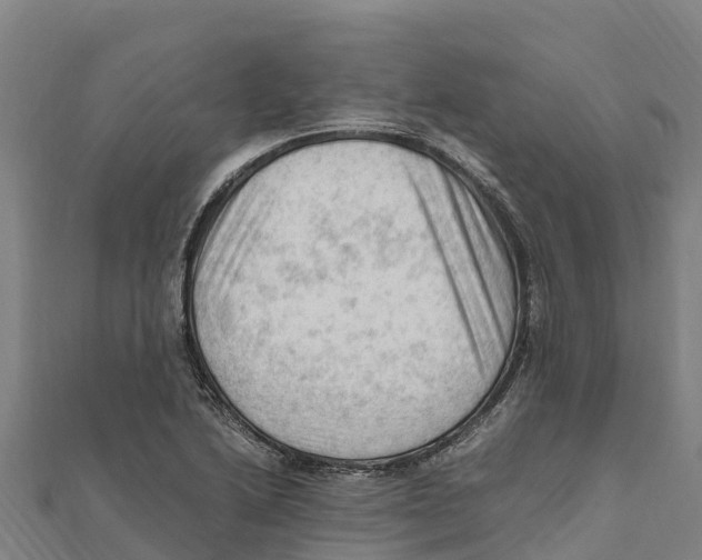 X0000111601222200908131355