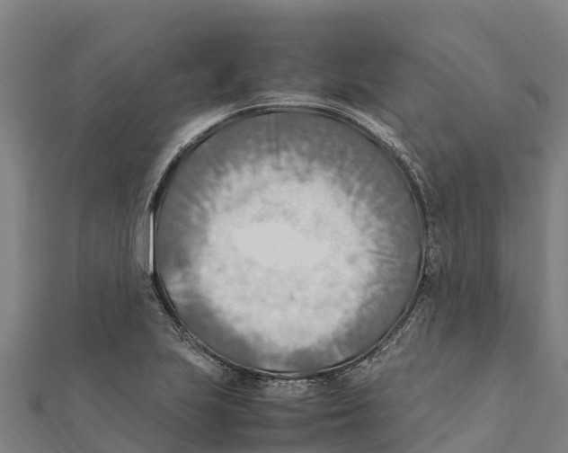X0000111601223200908131355