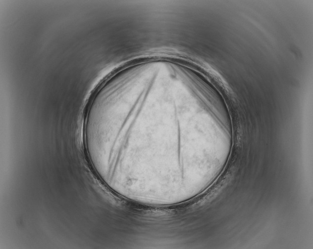 X0000111601224200908131355
