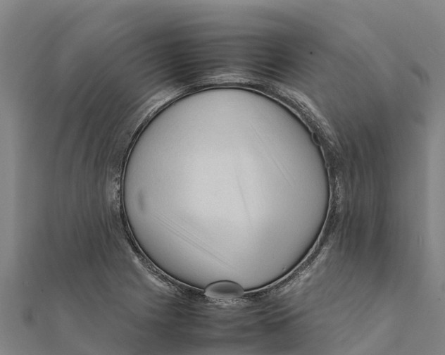 X0000111601225200908131355