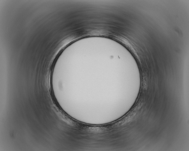 X0000111601227200908131355