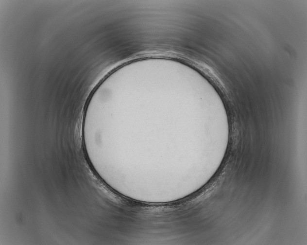 X0000111601228200908131355