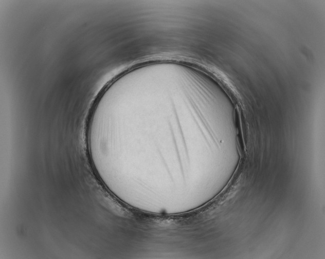 X0000111601230200908131355