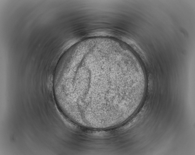 X0000111601233200908131356