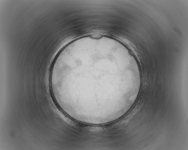 X0000111601235200908131356
