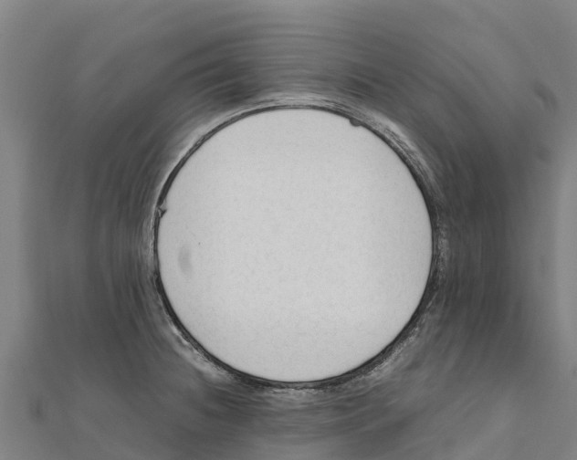 X0000111601236200908131356