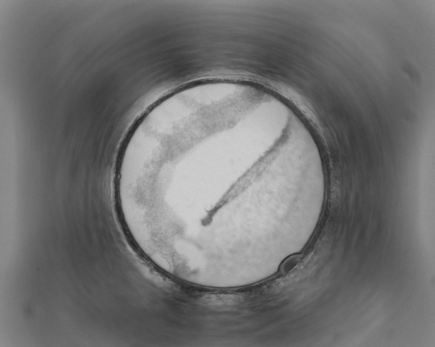 X0000111601237200908131356