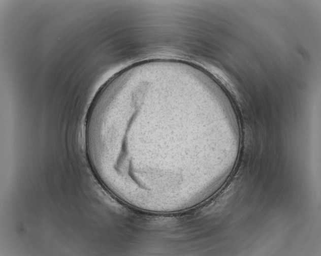 X0000111601238200908131356
