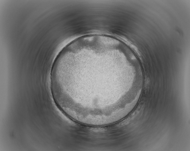 X0000111601239200908131356
