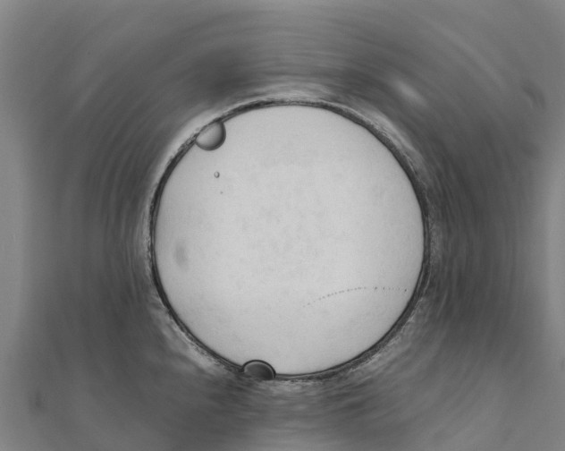 X0000111601240200908131356