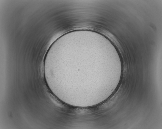 X0000111601242200908131356