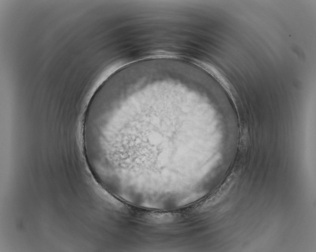 X0000111601243200908131356