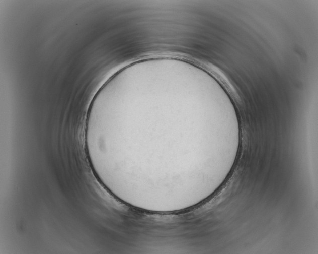 X0000111601244200908131356
