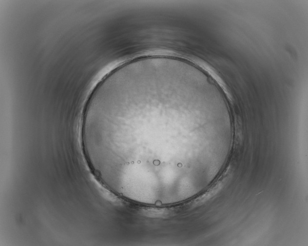 X0000111601245200908131356