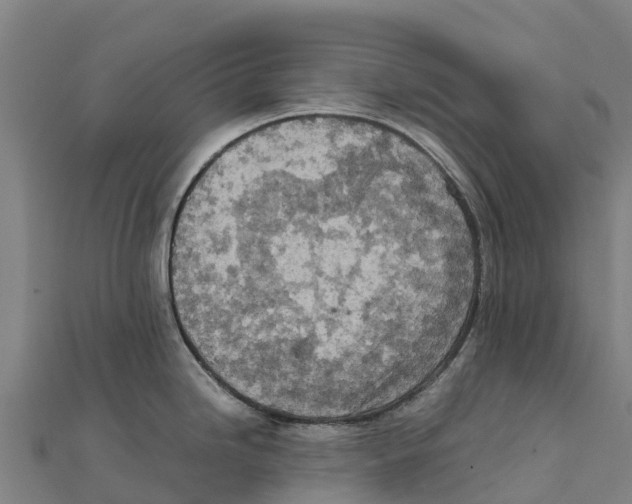 X0000111601246200908131356