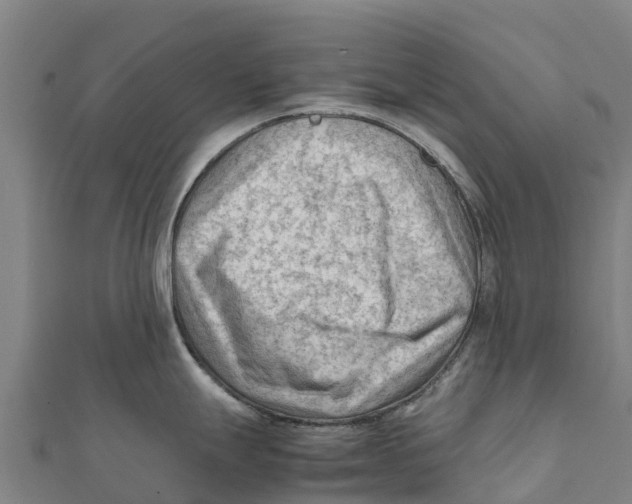 X0000111601247200908131356