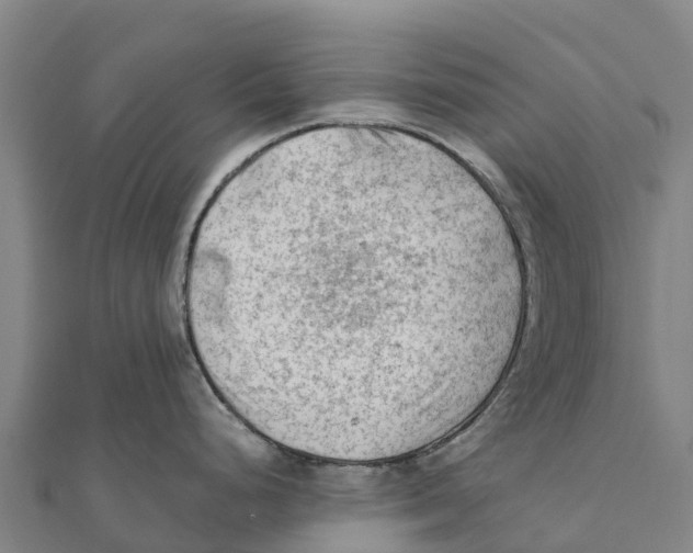 X0000111601248200908131356