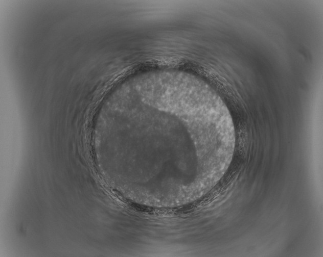 X0000111601249200908131355