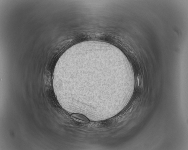X0000111601251200908131355