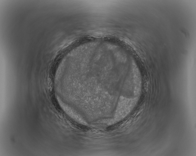 X0000111601253200908131355