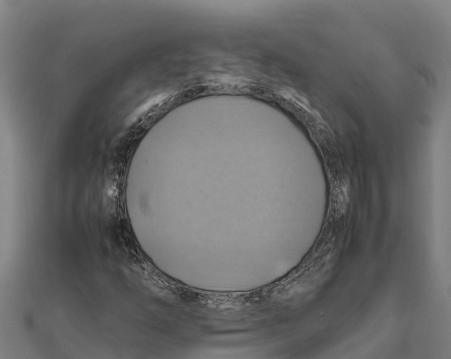X0000111601254200908131355