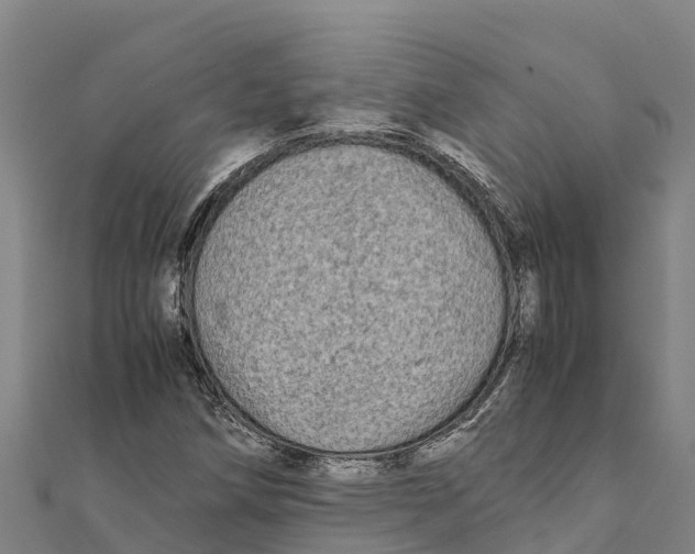 X0000111601258200908131355