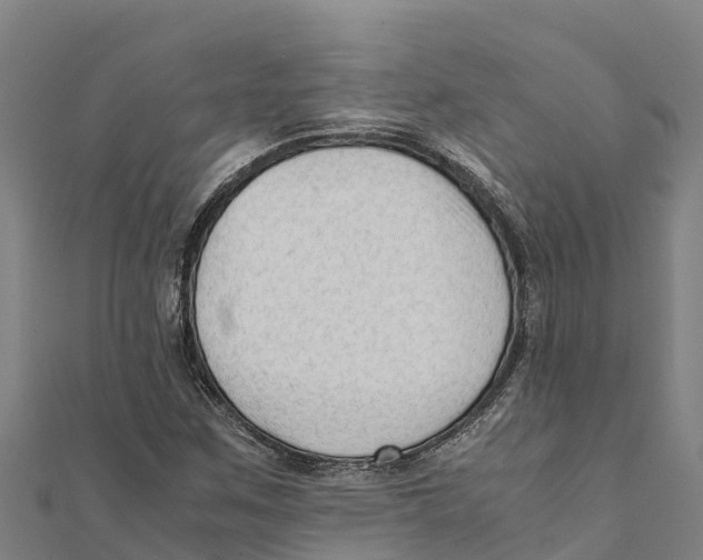 X0000111601259200908131355