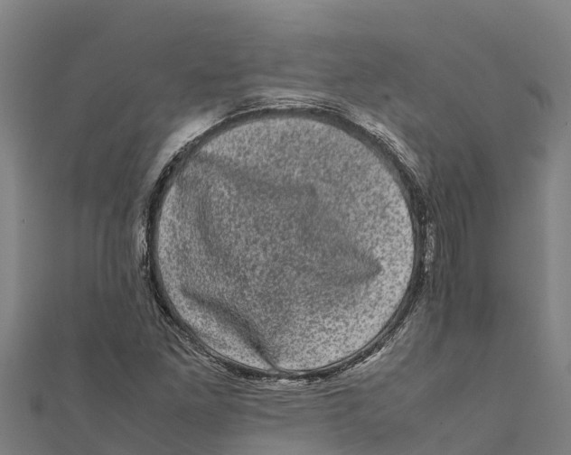 X0000111601261200908131355