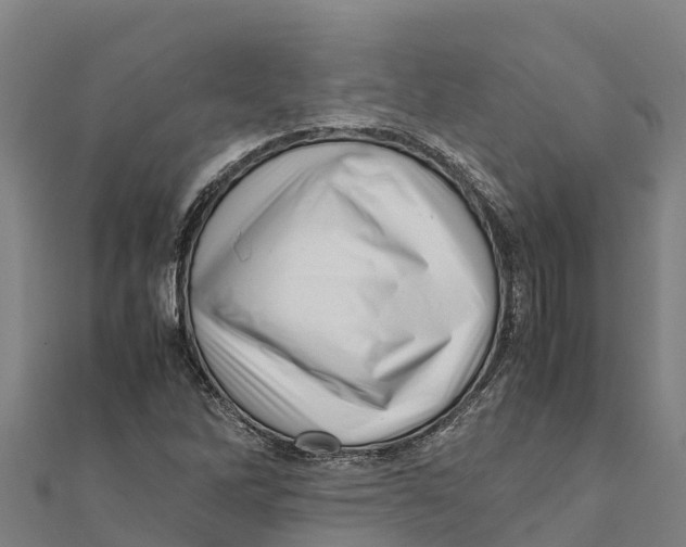 X0000111601262200908131355