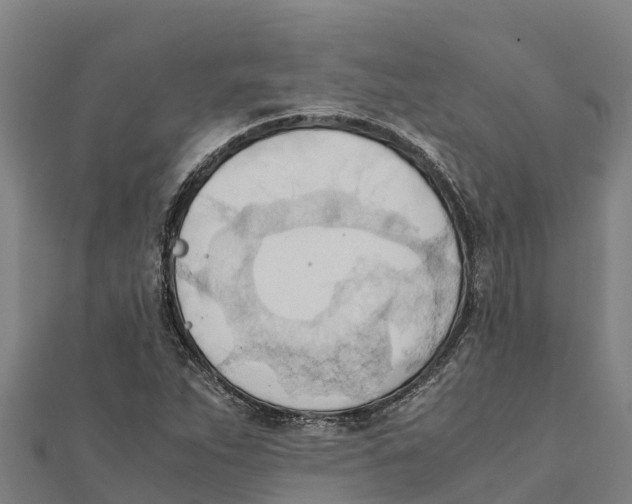 X0000111601263200908131355