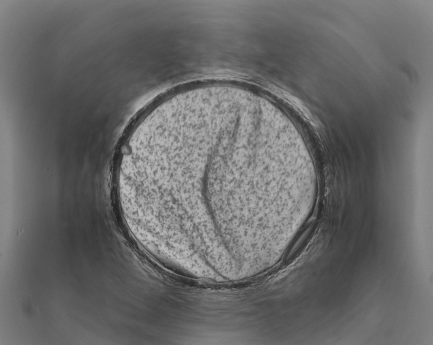 X0000111601264200908131355
