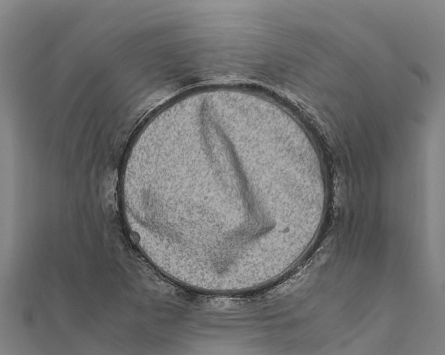 X0000111601265200908131355