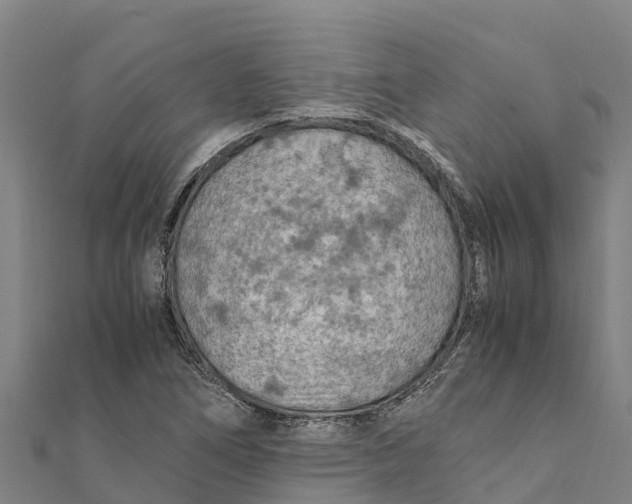 X0000111601266200908131355
