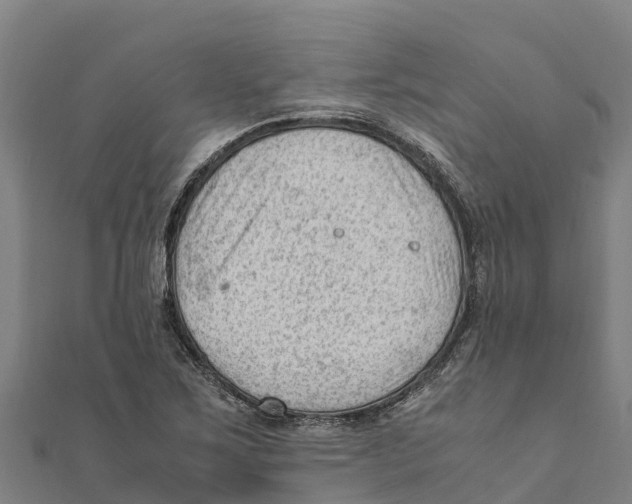X0000111601267200908131355