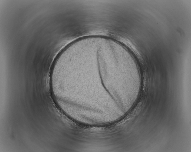 X0000111601268200908131355