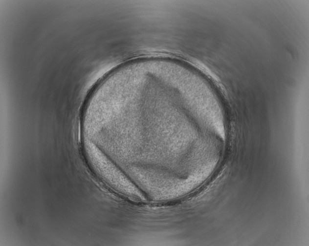 X0000111601269200908131355