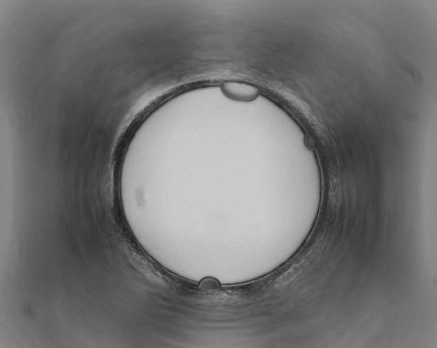 X0000111601270200908131355